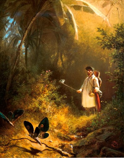 The Butterfly Catcher by Carl Spitzweg